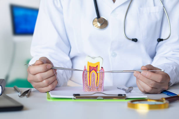 Best Emergency Cosmetic Dentistry (e.g., broken veneers) in Fort Hunt, VA